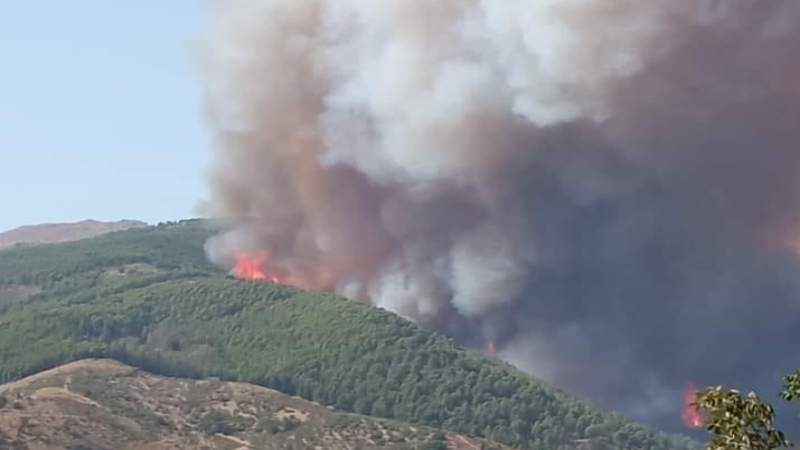 Trenta Incendi Nel Palermitano Lasiciliaweb