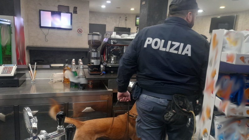 Getta Droga Nel Cestino Il Cane Pablo La Fiuta Lasiciliaweb