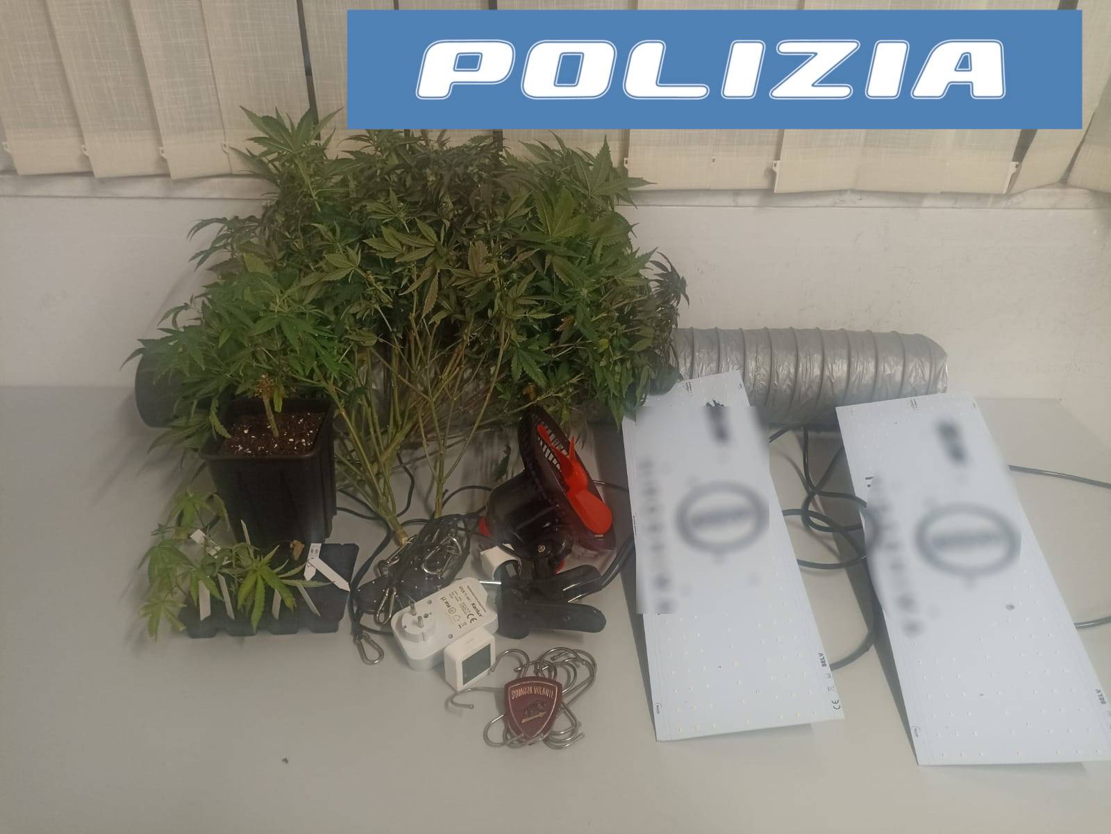 CHIAMA-LA-POLIZIA-MA-FINISCE-NEI-GUAI_-ARRESTATO-PER-PRODUZIONE-DI-DROGA-1.jpg