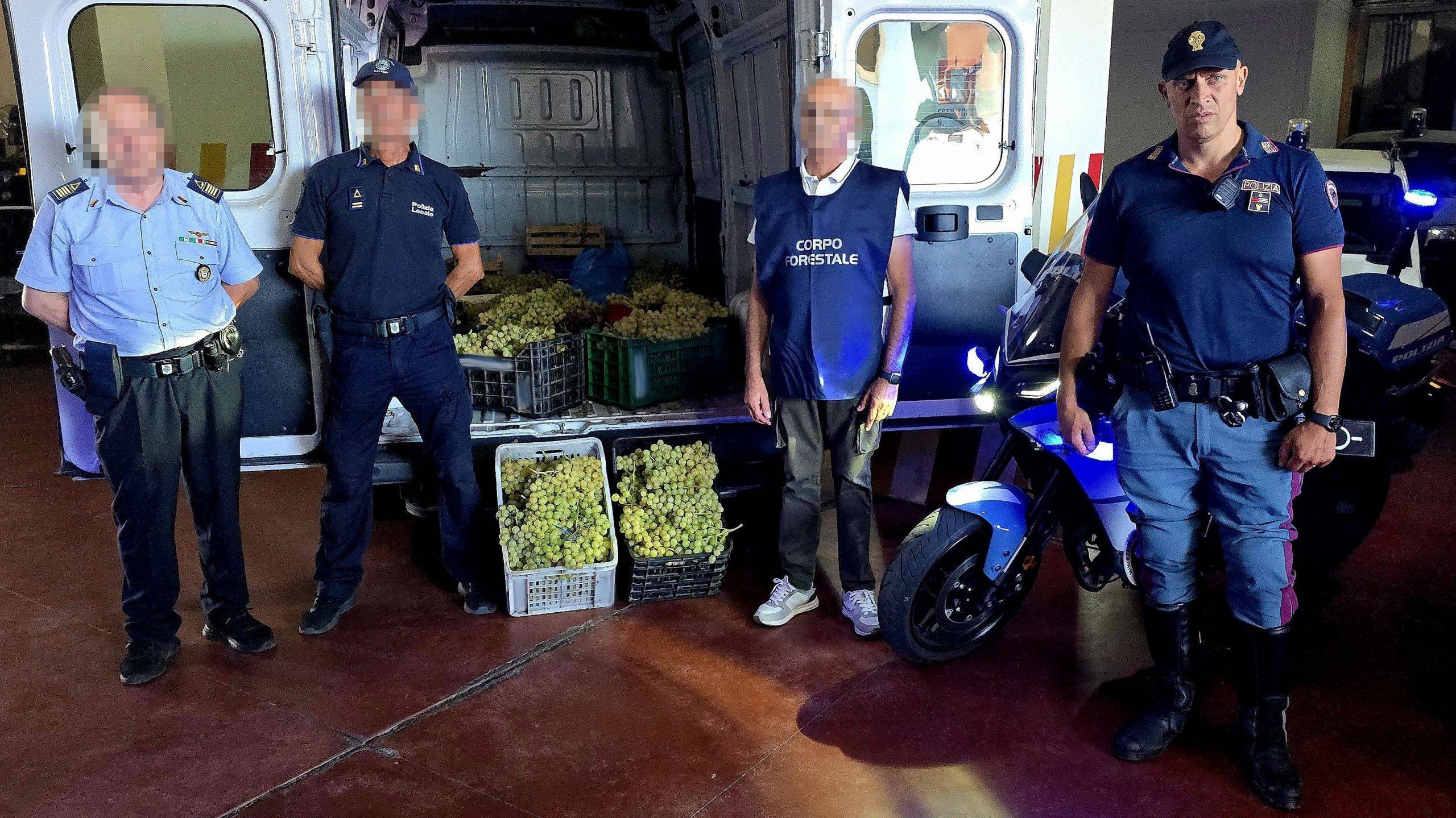 CONTROLLI-AD-AMBULANTI-SPROVVISTI-DI-LICENZA-E-IMPOSSIBILTA-DI-TRACCIARE-LA-PROVENIENZA-DELLA-FRUTTA.-SEQUESTRATI-OLTRE-700-KG-DI-UVA-1-scaled.jpg