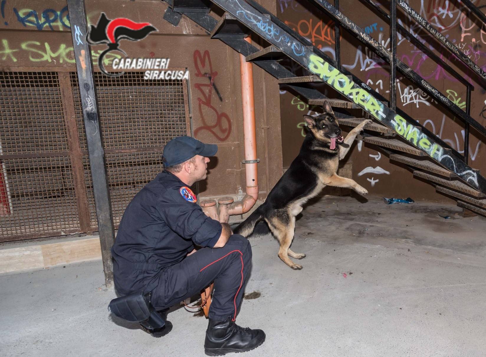 Carabinieri-cinofili-repertorio.jpg