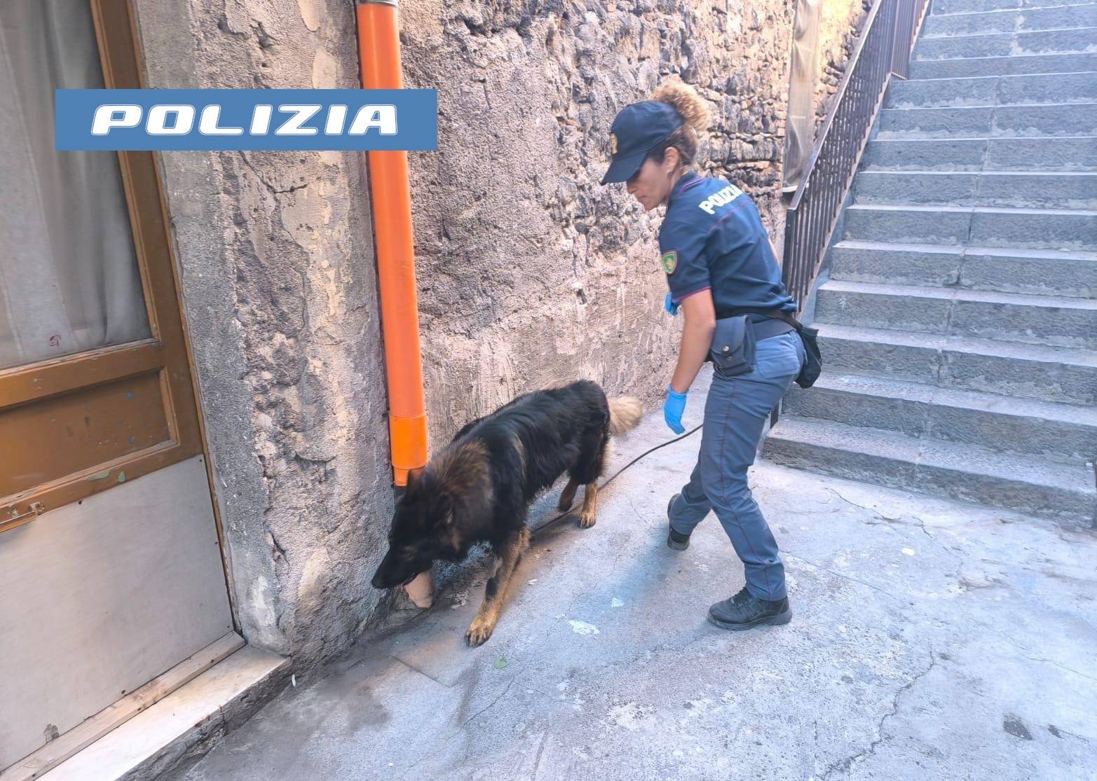 DENUNCIATO-SPACCIATORE-DALLA-POLIZIA-DI-STATO.jpeg