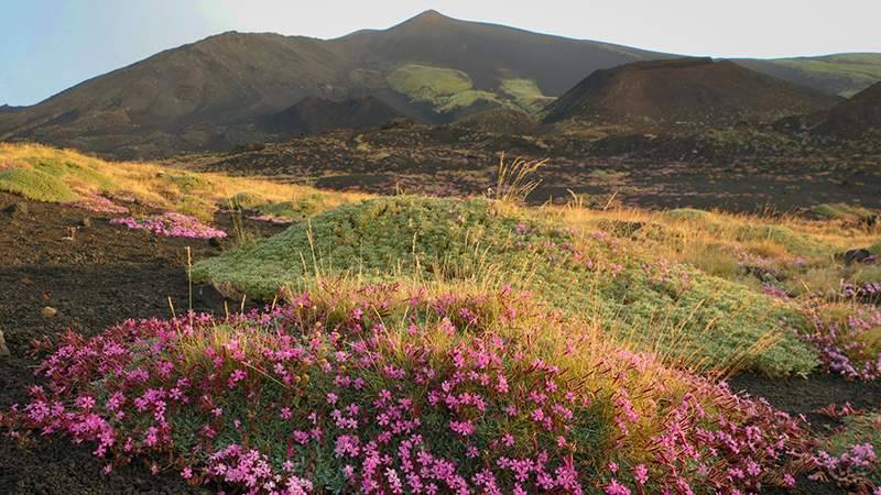 Etna-saponara.jpg