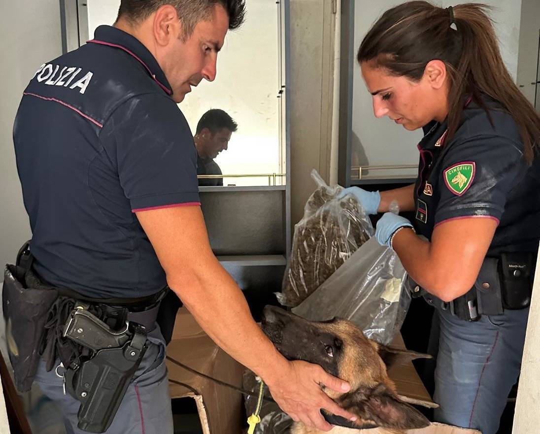 INGENTE-QUANTITATIVO-DI-MARIJUANA-SEQUESTRATO-DALLA-POLIZIA-DI-STATO-IN-VIA-CAPO-PASSERO-CHE-SE-IMMESSO-SUL-MERCATO-AVREBBE-FRUTTATO-CIRCA-80MILA-EURO-1.jpg