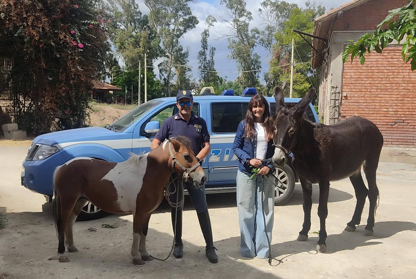 UN-PONY-ED-UNASINA-RITROVATI-DALLA-POLIZIA-DI-STATO-POCO-PRIMA-CHE-VENISSERO-MACELLATI-1.jpg