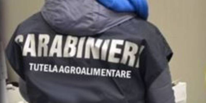 carabinieri.jpeg