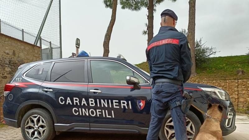 carabinieri-cinofili.jpg