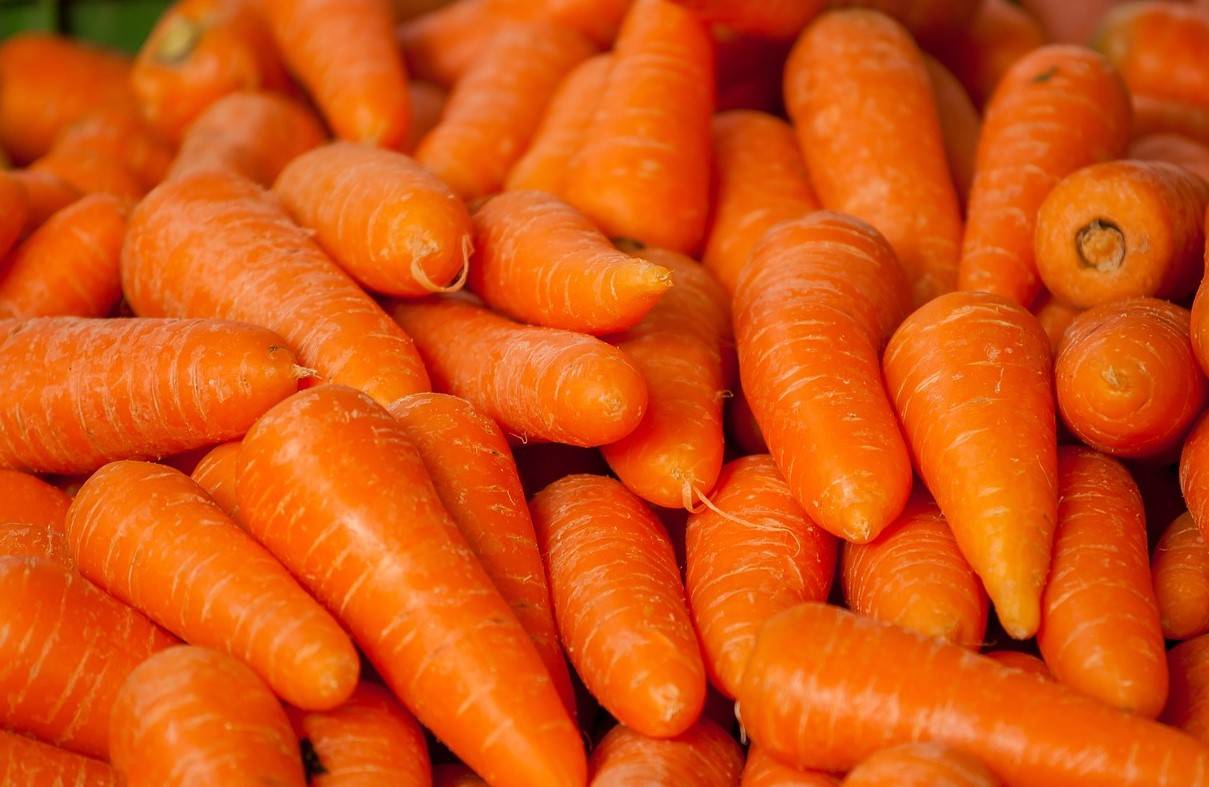 carrots-1508847_1280.jpg