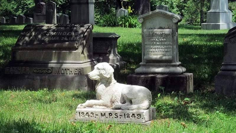 cimitero-animali.jpg