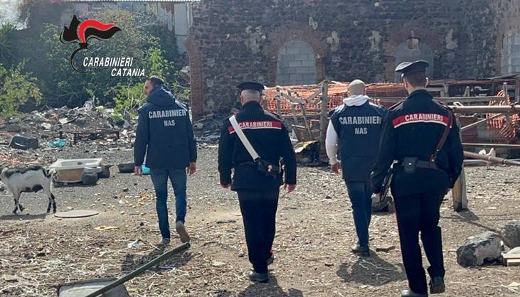 discarica-abusiva-scoperta-dai-carabinieri.jpg