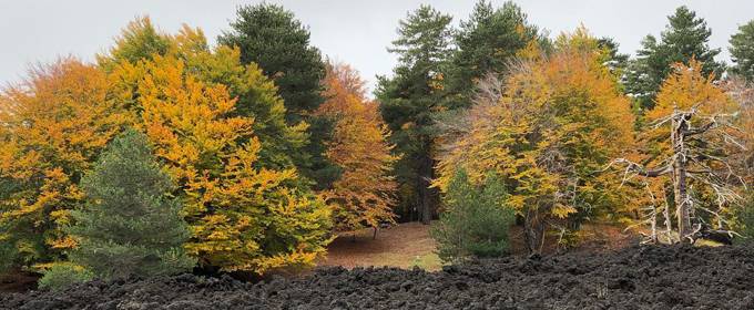 etna-autunno.jpg