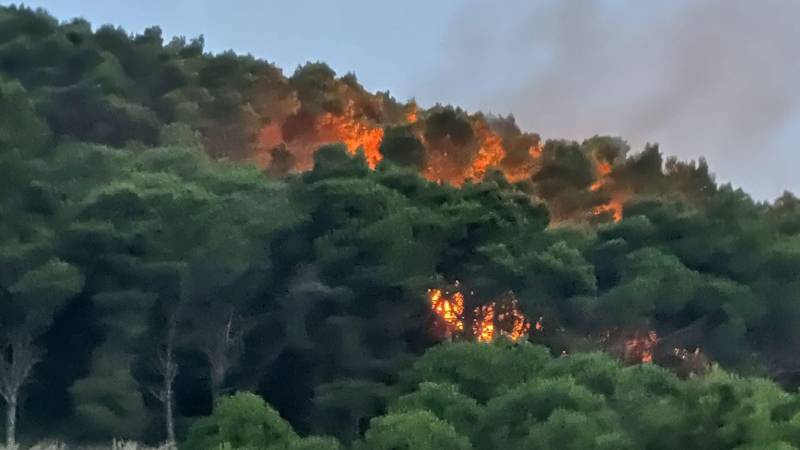 incendio-alcamo.jpg