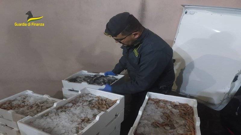 sequestro-pesce.jpg